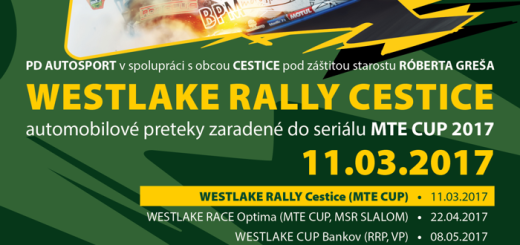 Rally Cestice 2017